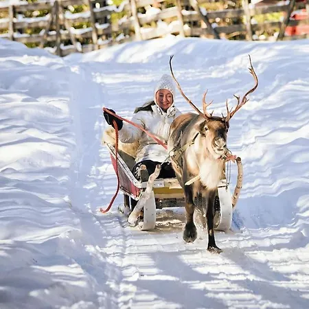 아파트 Lapland's Little Retreat - Heart Of *